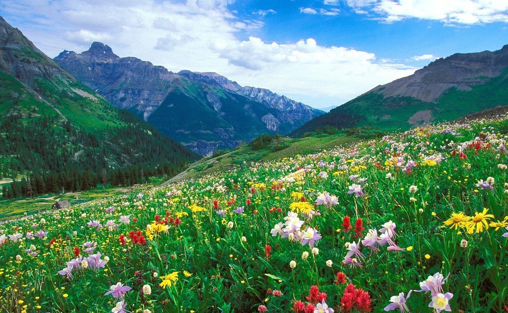 青島廢品回收，環境治理